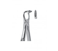 Extracting Forceps